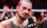 When is Sean O'Malley's next fight?